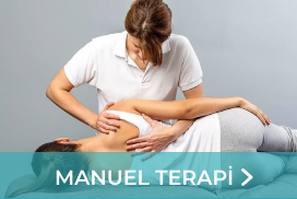 Manuel Terapi